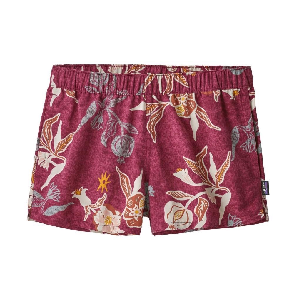 Patagonia Baggie Shorts